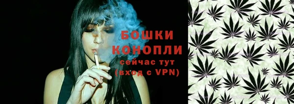 ПСИЛОЦИБИНОВЫЕ ГРИБЫ Арсеньев