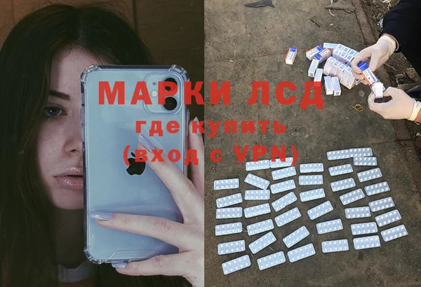 ПСИЛОЦИБИНОВЫЕ ГРИБЫ Арсеньев