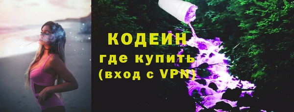 ПСИЛОЦИБИНОВЫЕ ГРИБЫ Арсеньев
