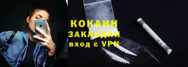 индика Армянск