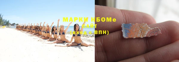 ПСИЛОЦИБИНОВЫЕ ГРИБЫ Арсеньев