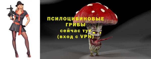индика Армянск