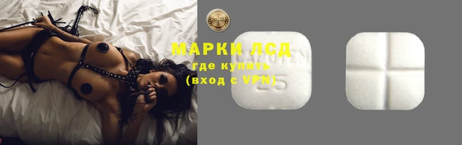 ПСИЛОЦИБИНОВЫЕ ГРИБЫ Арсеньев