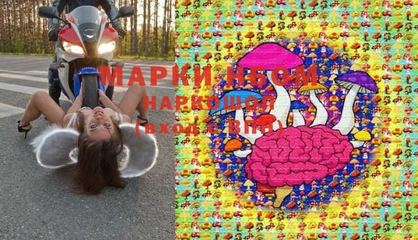 ПСИЛОЦИБИНОВЫЕ ГРИБЫ Арсеньев