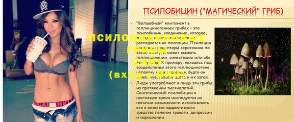 дурь Аркадак