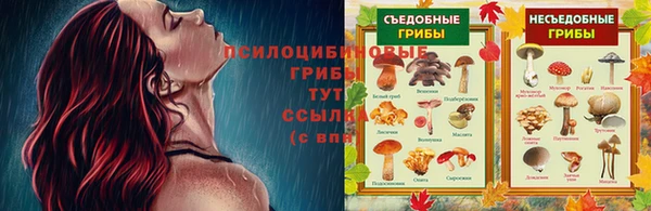 дурь Аркадак