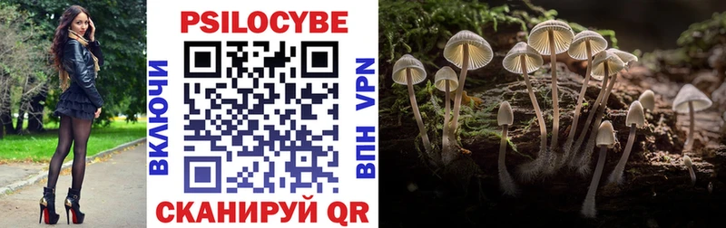 Галлюциногенные грибы Psilocybe  Советск 